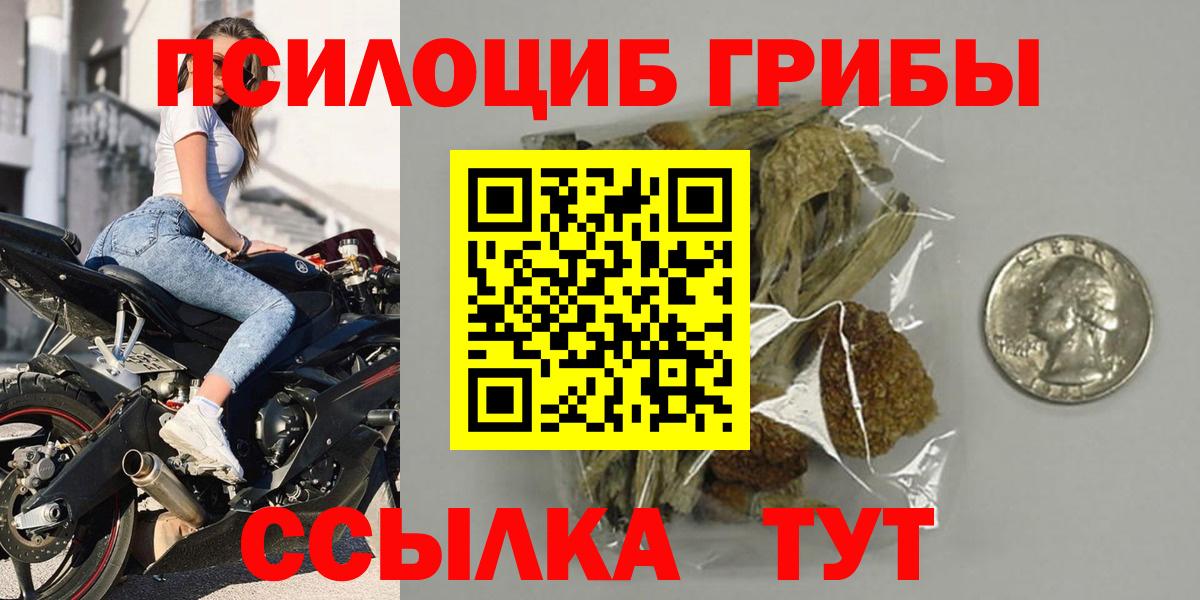 Псилоцибиновые грибы мицелий  Вход с VPN  Волгоград 