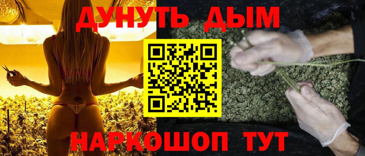 Бошки марихуана VHQ  Вход с VPN  Конопля марихуана  Волгоград 